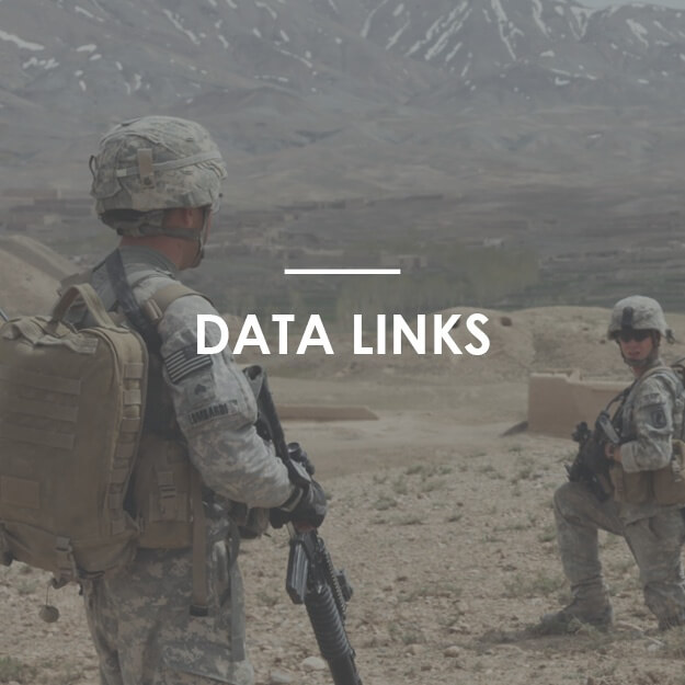 DataLinks
