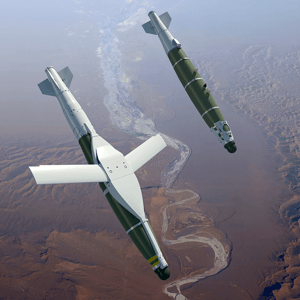 Seekers & Guided Munitions