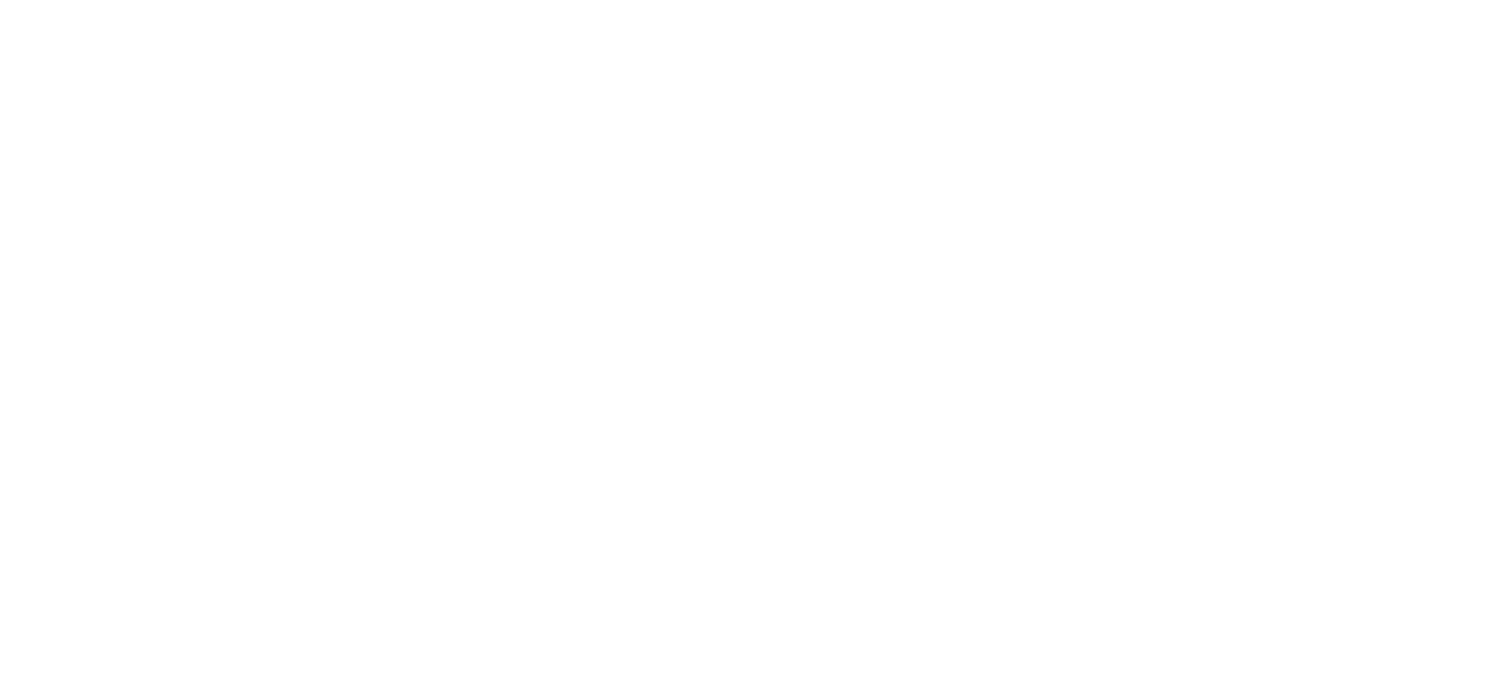 Vision Systems - Elbit America